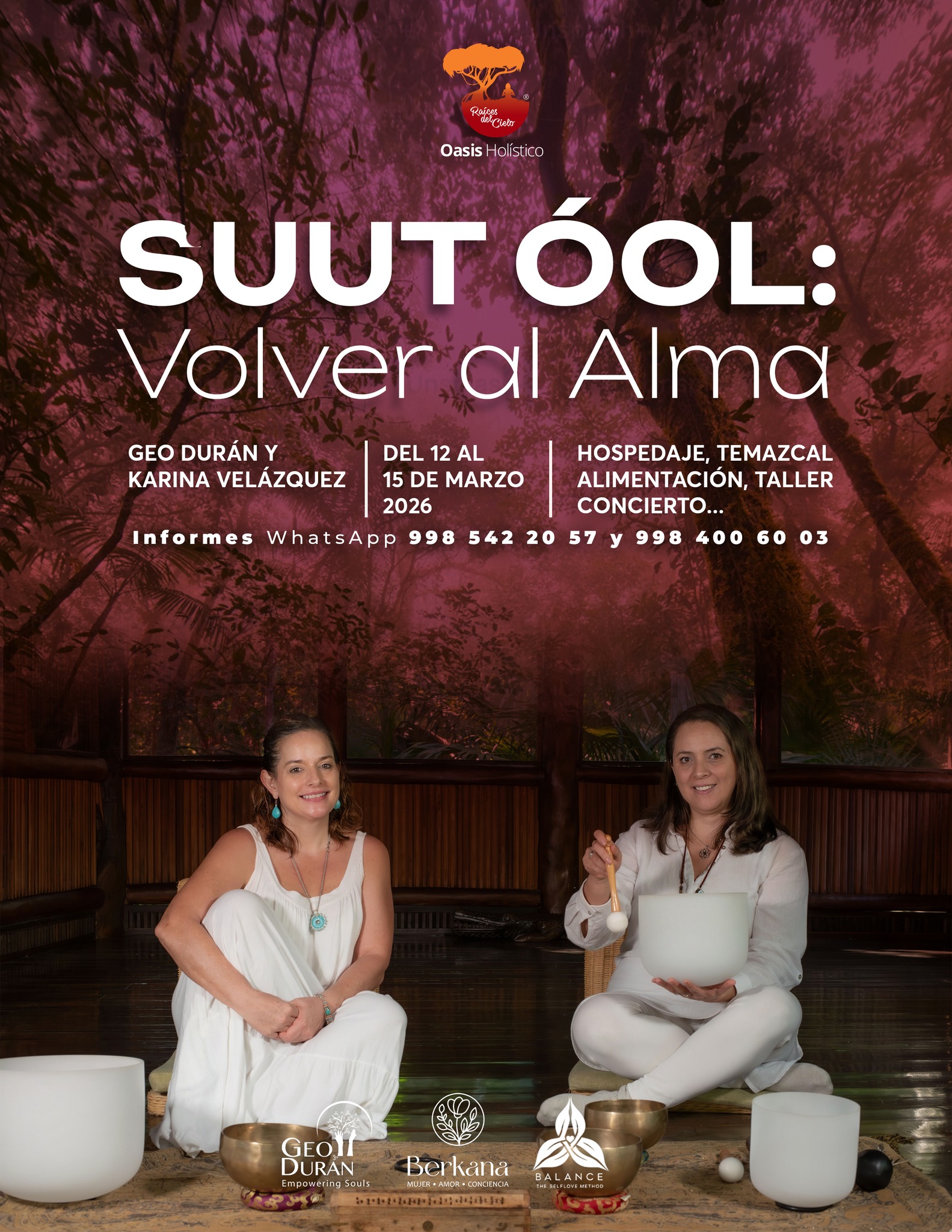 Volver al Alma
